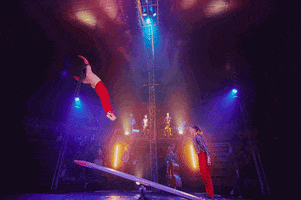 circusiloveyou christmas cirque live band teeterboard GIF