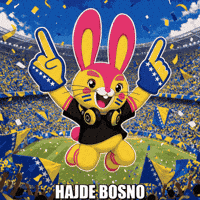 Football Soccer GIF by WVRPS