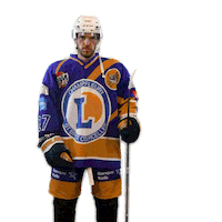 LesPhenixReims hockey celebrations reims phenix Sticker