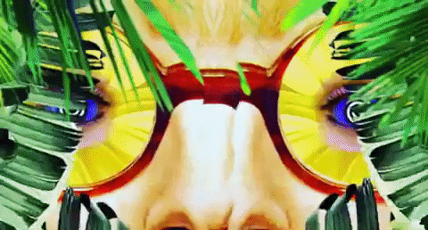 andrewknives giphyupload GIF