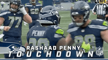 Seattle Seahawks Football GIF by NFL