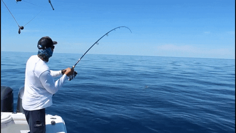 Wherethemapturnsblue GIF by SORD Fishing Products