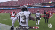 Nfl Playoffs Football GIF by NFL