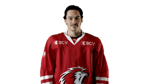 Lhc Lausannehc Sticker by Lausanne Hockey Club