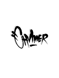 chvlmer chvlmer Sticker