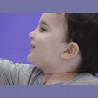 vuelo babysec GIF