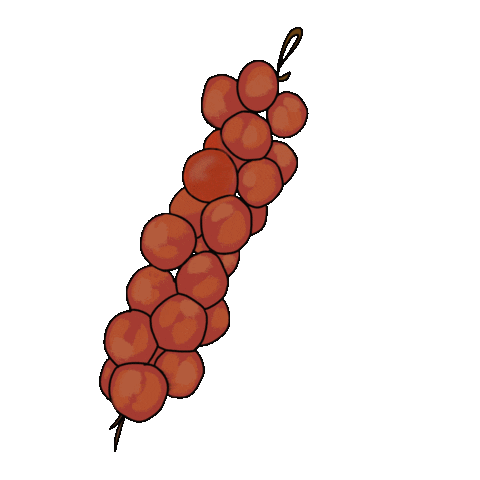 Tomato Mallorca Sticker