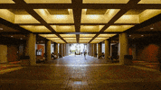 miami library GIF by FIU