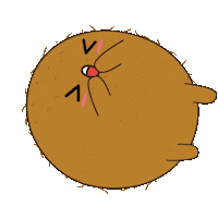 Laugh Kiwi Sticker by The Skin Lovers