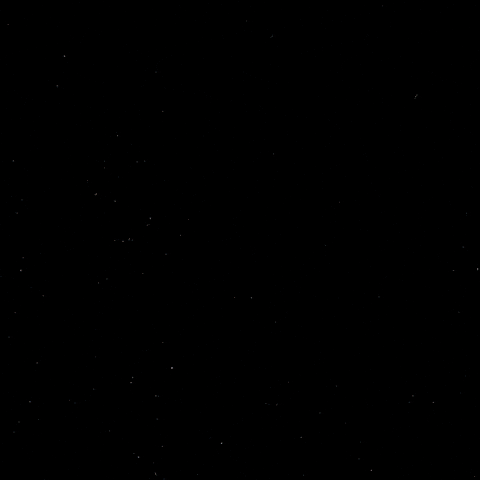 Happy Celebration GIF by Eisbären Berlin