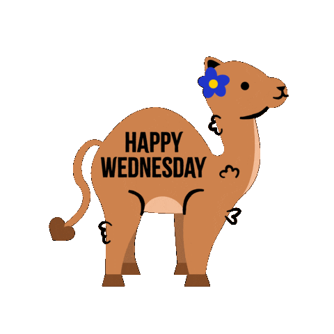 Wednesday Morning Sticker by Jessica Lau