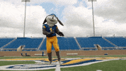 South Dakota State University Jackrabbits GIF by SDSU Foundation