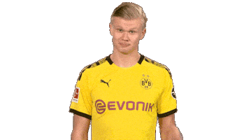 Happy Football Sticker by Bundesliga