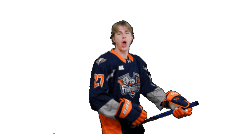 Goal Hockey Sticker by Flint Firebirds