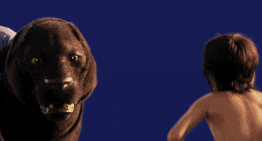 behind the scenes vfx GIF by Disney