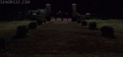 django unchained deal with it GIF by Cheezburger