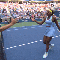 Us Open Tennis Sport GIF by US Open