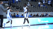 Gojays GIF by Creighton University Athletics