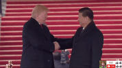zheng zhi GIF