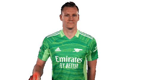 Celebrate Germany Sticker by Arsenal