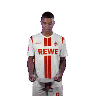 1 Fc Cologne Football Sticker by 1. FC Köln