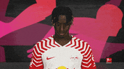 Posing Line Up GIF by Bundesliga