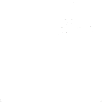 team softball Sticker by Delaware Blue Hens