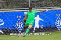 GIF by #FCDK