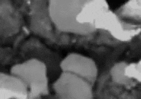 Art Film GIF by jorgemariozuleta