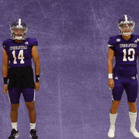 Football Wesleyan GIF by KWC Panthers