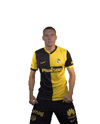 Celebrate Michel Aebischer Sticker by BSC Young Boys