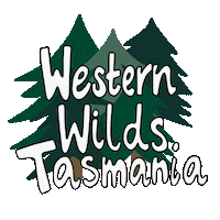Roadtrip Camper Sticker by Tasmania