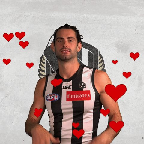 collingwoodfc pies collingwood magpies collingwoodfc GIF