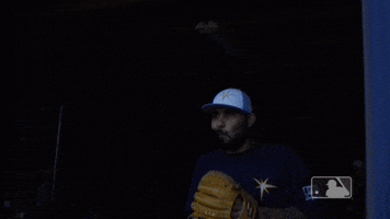 hand gesture GIF by MLB