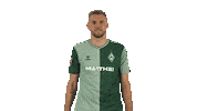 Werder Bremen Sticker by Bundesliga