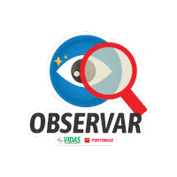 Portonave vidas seguranca do trabalho programa vidas portonave Sticker