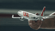 sky flying GIF by GOL Linhas Aéreas
