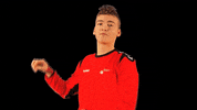 AmstelveenSport amstelveensport GIF