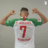Football Soccer GIF by FC Augsburg 1907
