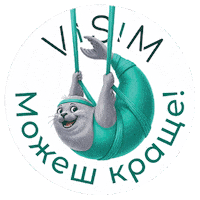 Visimtulen Sticker by Visim Sport Space