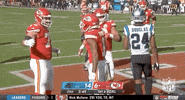Regular Season Football GIF by NFL