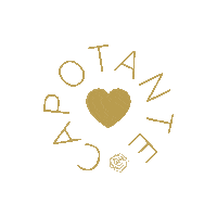 Pop-Up Pop Sticker by Flor de Pedra