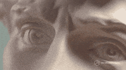 Head Upload GIF by The Explainer Studio
