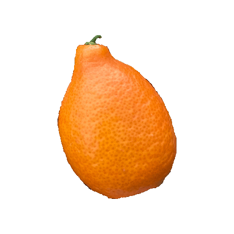 Tropical Fruit Sticker by Miami Fruit