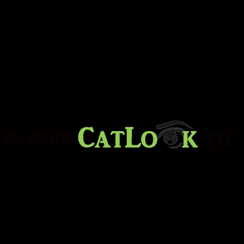 catlookbrowslashes giphygifmaker giphyattribution lashes eyebrows GIF