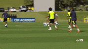 selecao brasileira GIF by Confederação Brasileira de Futebol