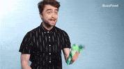 Harry Potter GIF by BuzzFeed