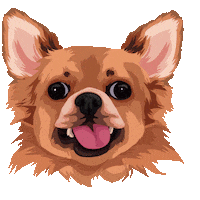 Dog Chihuahua Sticker by DopeDog