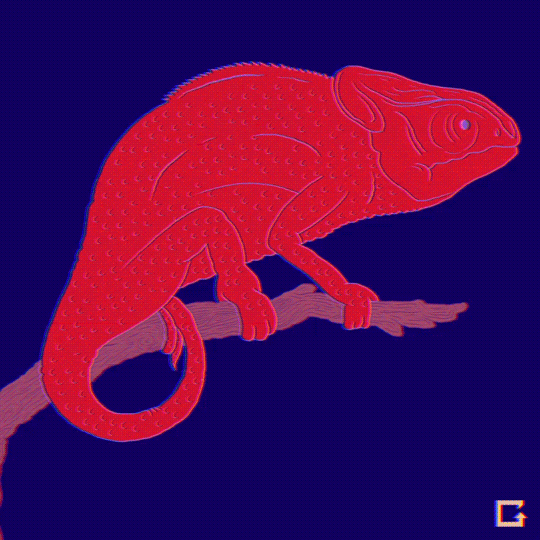 Panther Chameleon GIF by gifnews