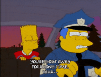 bart simpson episode 6 GIF